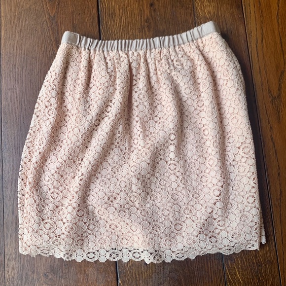Romantic Lace J. Crew Skirt in Blush Size 4 - Picture 1 of 4
